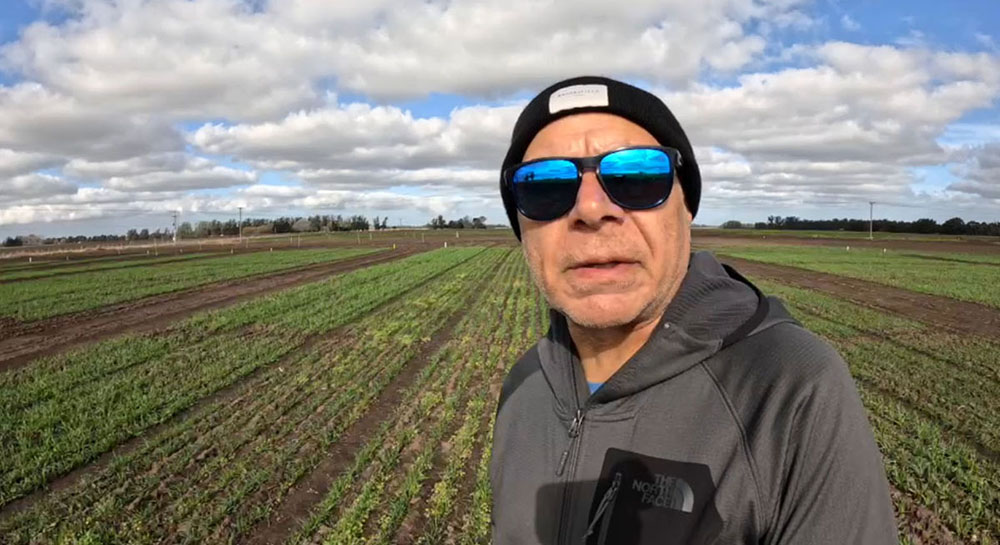 Se viene Expocereales, primera muestra temática a campo sobre trigo y cebada